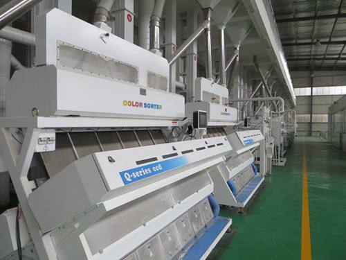 Rice Polishing and Grinding in Rice Processing Line