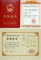 Award Certificate showcasing FOTMA's achievements and honors