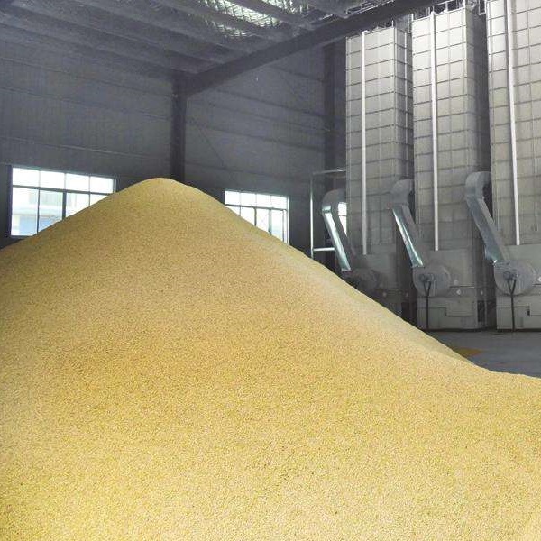 Grain drying is the key to opening up mechanized grain production (2)