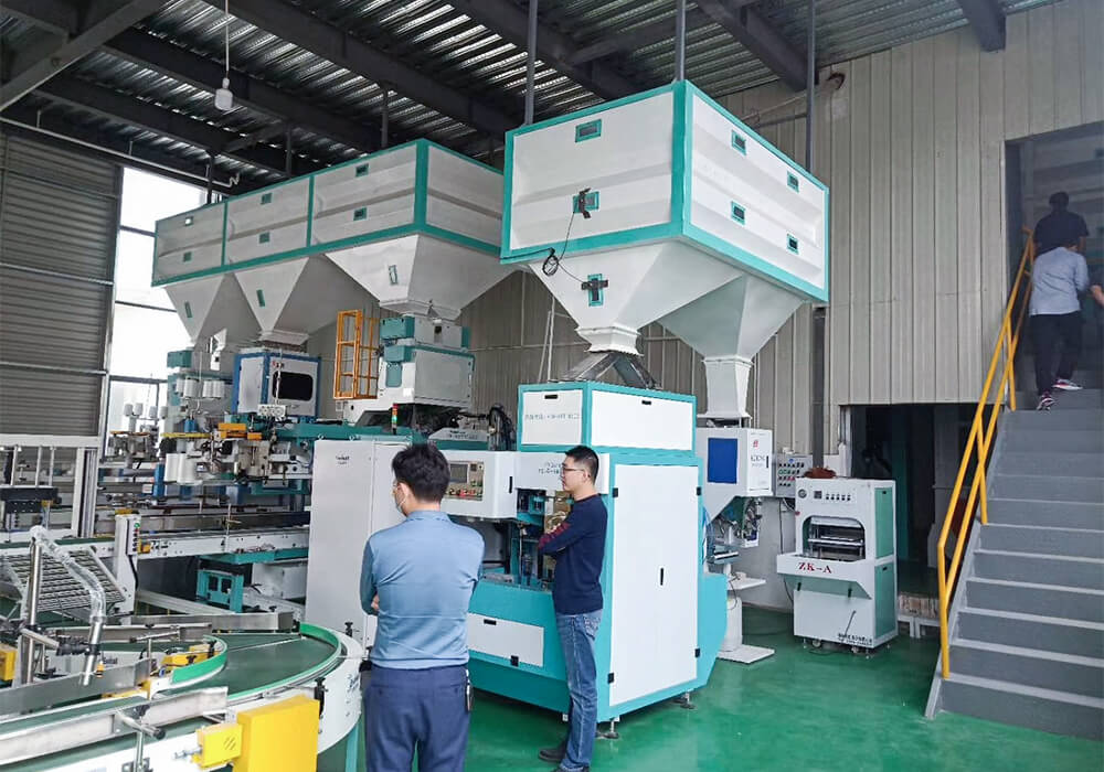 Full Automatic Rice Packing and Bagging Workshop