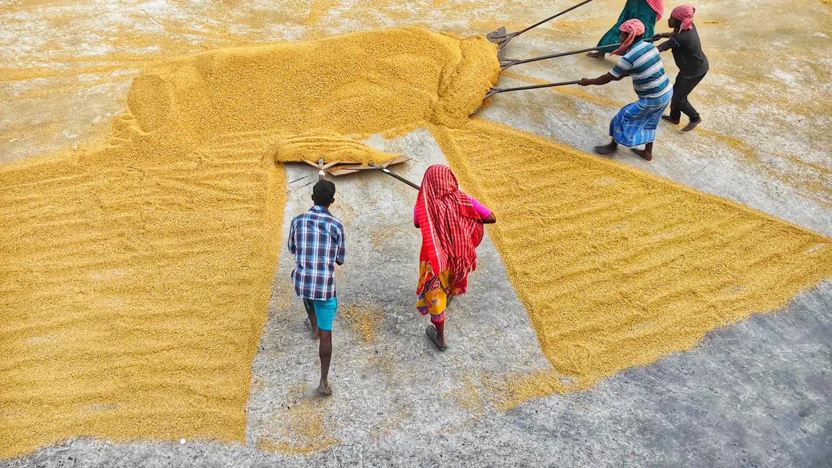 Combined rice mill secrets for happy harvests