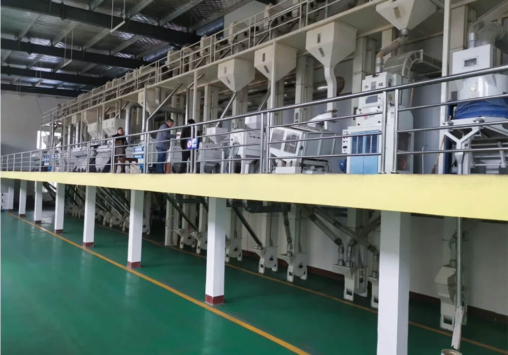 100-120TPD Rice Processing Line in Hunan, China