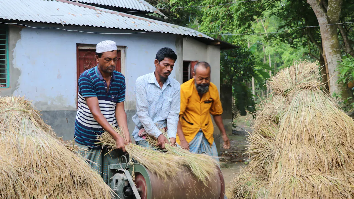 Choosing the right rice huller