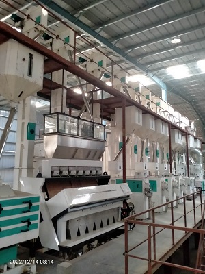 120TPD Complete Rice Milling Line Has Been Finished On Installation in Nepal(1)