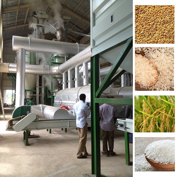  30-40 Ton/Day Complete Parboiled Rice Milling Plant 