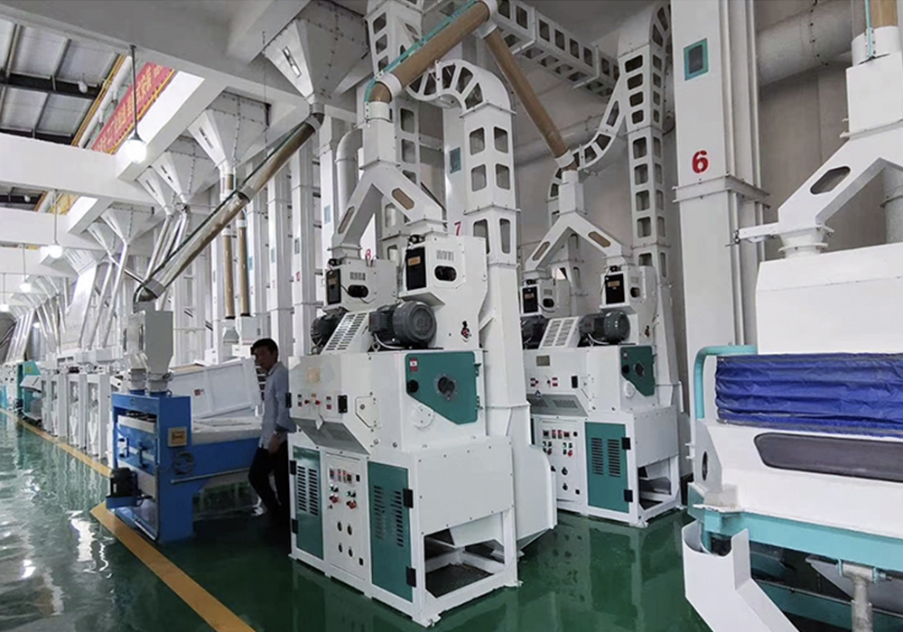 500TPD Rice Processing Plant in China