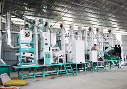 30-40TPD Rice Milling Line in Philippines副本.jpg