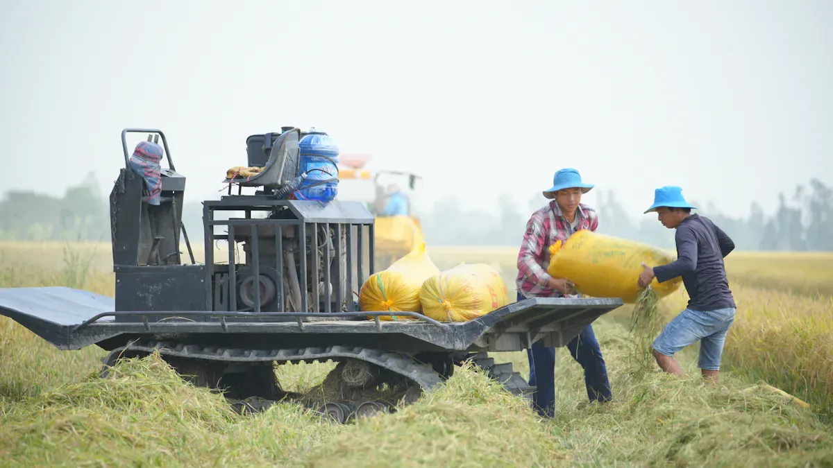 Efficiency in Rice Mills